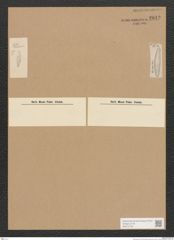 Diatomeae indet. Zeichnungen Sammlung Grunow Nr. 2842 (NHMW-BOT-W0370158)
